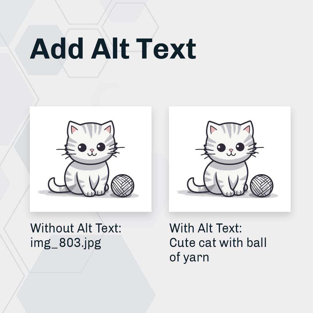 Graphic with two images of a grey cat showing the difference between an image with alt text and one without.
