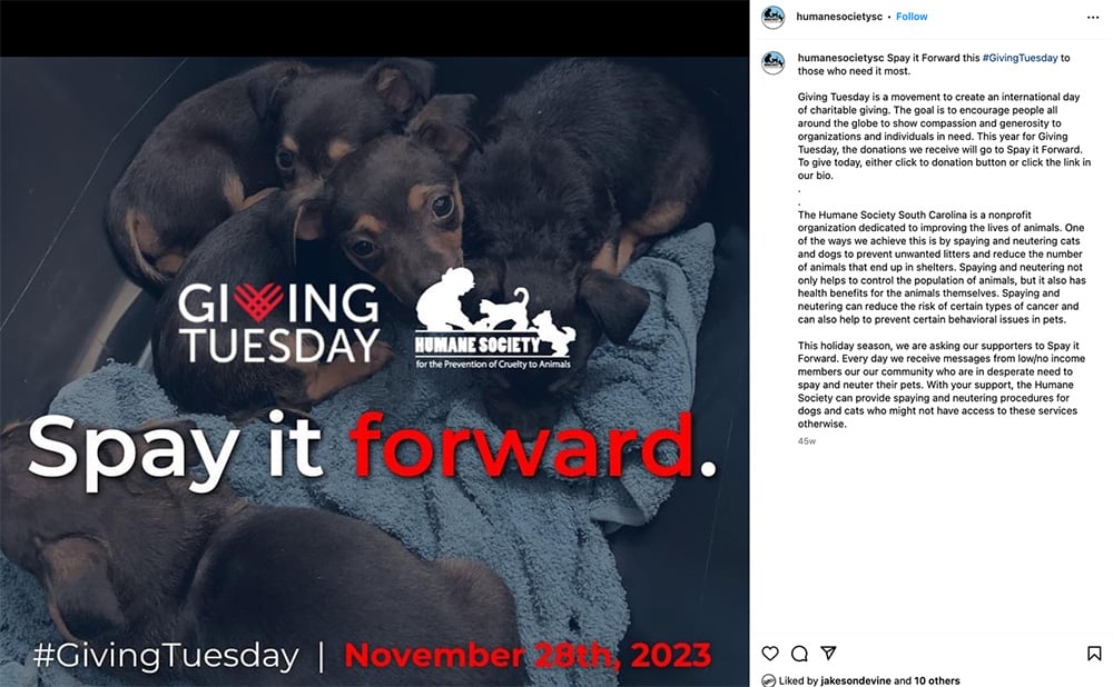 Humane Society of SC Instagram picture from feed of puppies curled up in a ball with the text