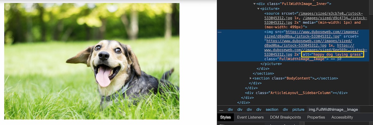 An example of alt text for an image element containing a happy dog laying in the grass