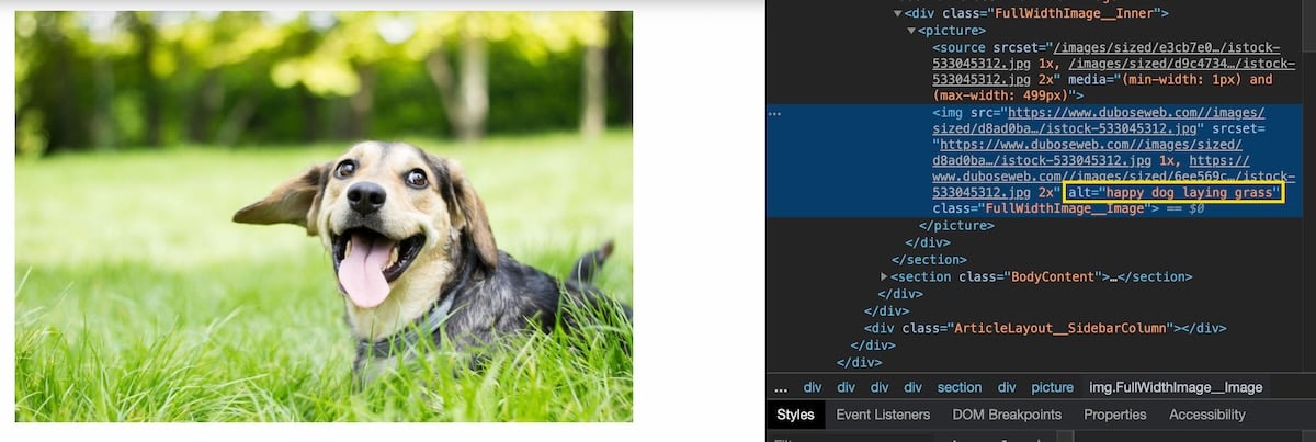 An example of alt text for an image element containing a happy dog laying in the grass